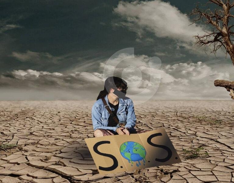 Seis Estrategias innovadoras para transformar la ansiedad climática en acciones constructivas