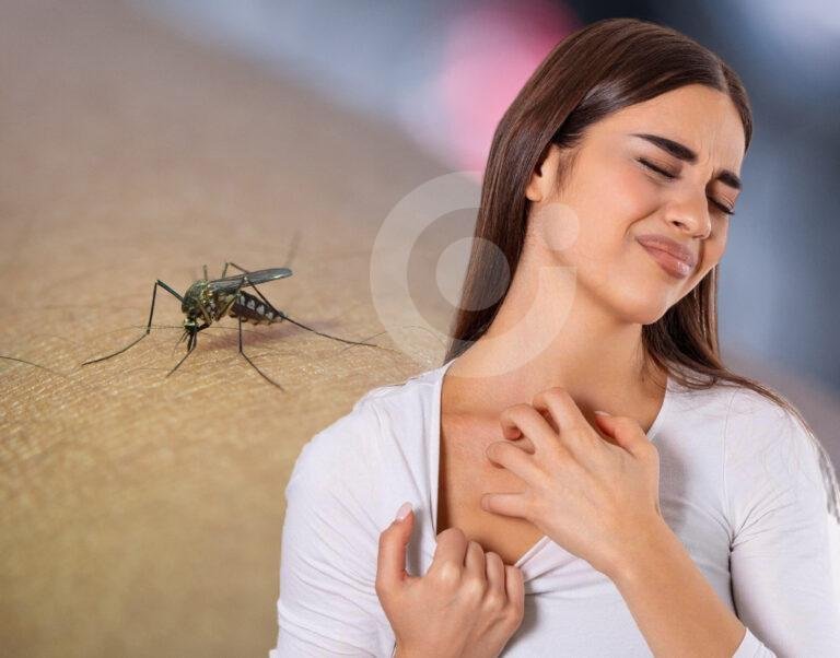 Virus se propaga rápido por picaduras de mosquitos